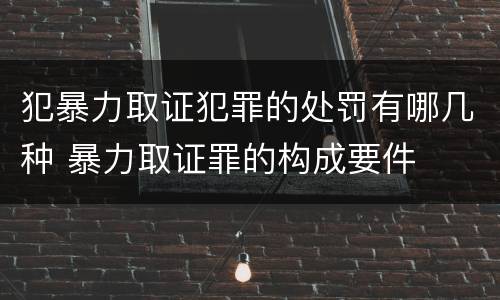 犯暴力取证犯罪的处罚有哪几种 暴力取证罪的构成要件
