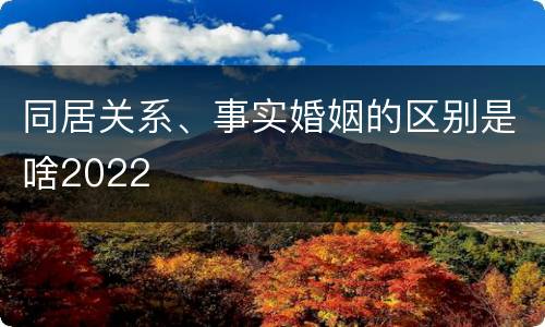 同居关系、事实婚姻的区别是啥2022