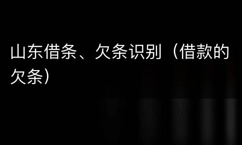山东借条、欠条识别（借款的欠条）