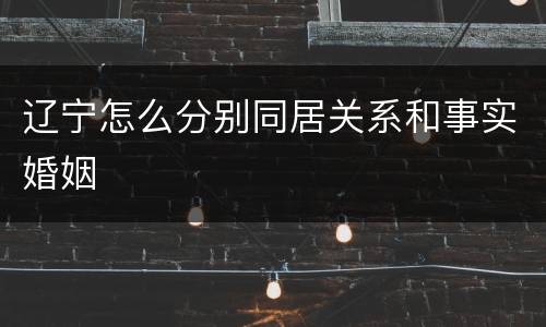 辽宁怎么分别同居关系和事实婚姻
