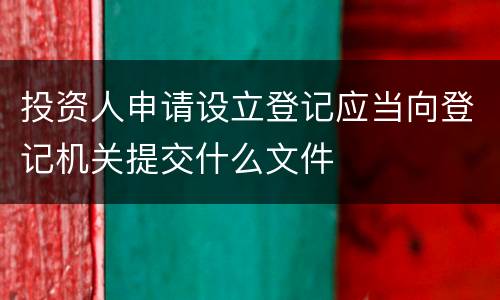 投资人申请设立登记应当向登记机关提交什么文件