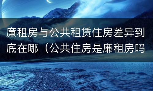 廉租房与公共租赁住房差异到底在哪（公共住房是廉租房吗）