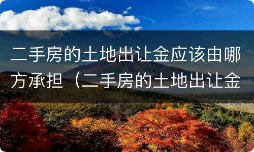 二手房的土地出让金应该由哪方承担（二手房的土地出让金应该由哪方承担责任）