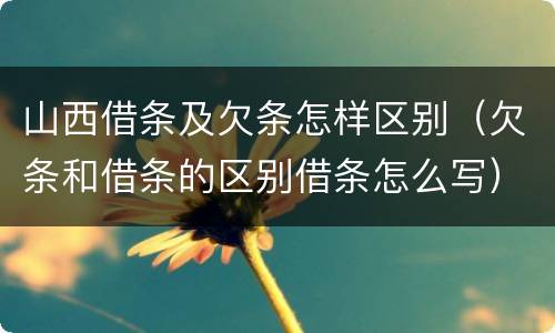 山西借条及欠条怎样区别（欠条和借条的区别借条怎么写）