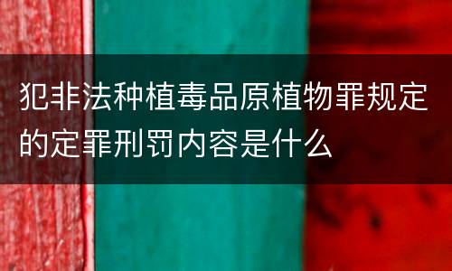 犯非法种植毒品原植物罪规定的定罪刑罚内容是什么