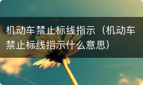 机动车禁止标线指示（机动车禁止标线指示什么意思）