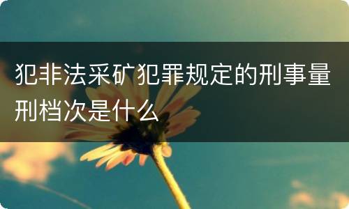 犯非法采矿犯罪规定的刑事量刑档次是什么