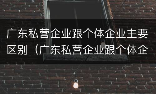广东私营企业跟个体企业主要区别（广东私营企业跟个体企业主要区别是什么）