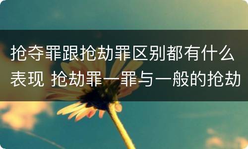 抢夺罪跟抢劫罪区别都有什么表现 抢劫罪一罪与一般的抢劫罪区别