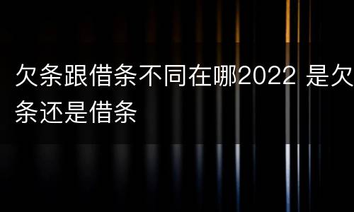 欠条跟借条不同在哪2022 是欠条还是借条