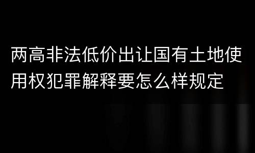 两高非法低价出让国有土地使用权犯罪解释要怎么样规定