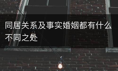同居关系及事实婚姻都有什么不同之处