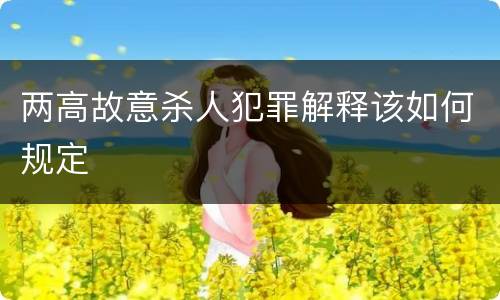 两高故意杀人犯罪解释该如何规定
