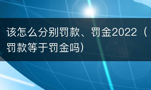该怎么分别罚款、罚金2022（罚款等于罚金吗）