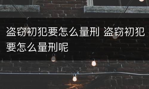 盗窃初犯要怎么量刑 盗窃初犯要怎么量刑呢