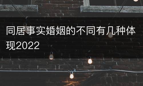同居事实婚姻的不同有几种体现2022