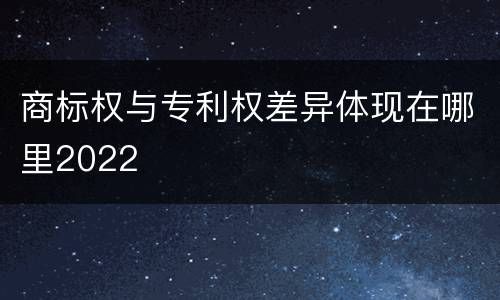 商标权与专利权差异体现在哪里2022