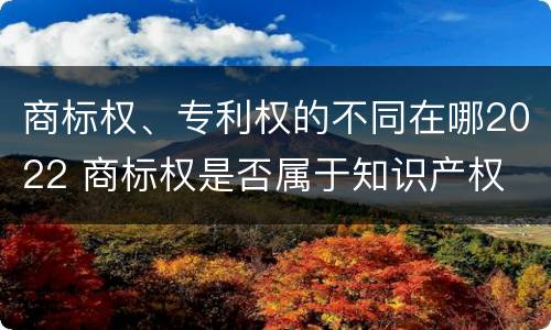 商标权、专利权的不同在哪2022 商标权是否属于知识产权