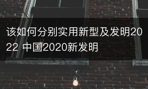 该如何分别实用新型及发明2022 中国2020新发明