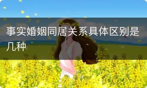事实婚姻同居关系具体区别是几种
