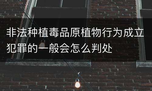 非法种植毒品原植物行为成立犯罪的一般会怎么判处