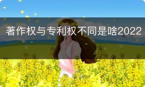 著作权与专利权不同是啥2022