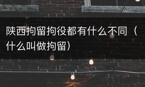 陕西拘留拘役都有什么不同（什么叫做拘留）