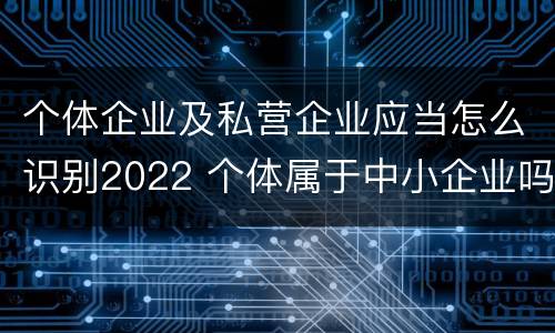 个体企业及私营企业应当怎么识别2022 个体属于中小企业吗
