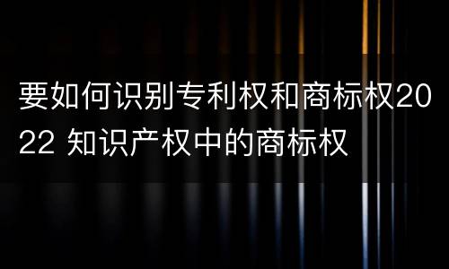 要如何识别专利权和商标权2022 知识产权中的商标权
