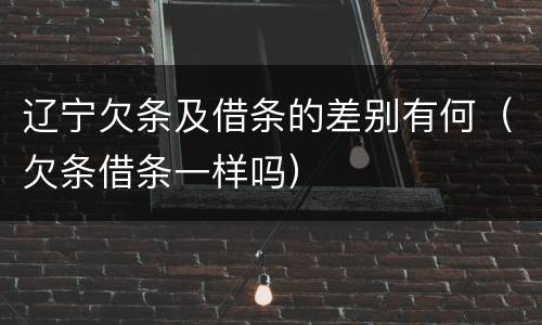 辽宁欠条及借条的差别有何（欠条借条一样吗）