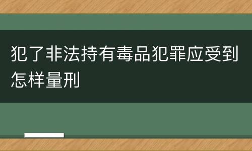 犯了非法持有毒品犯罪应受到怎样量刑