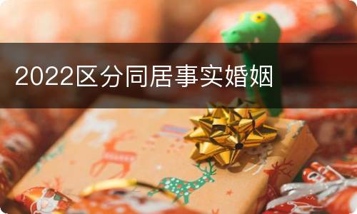 2022区分同居事实婚姻