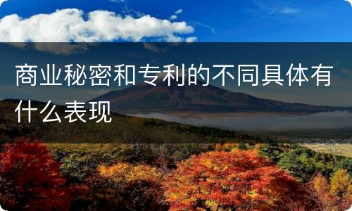 商业秘密和专利的不同具体有什么表现