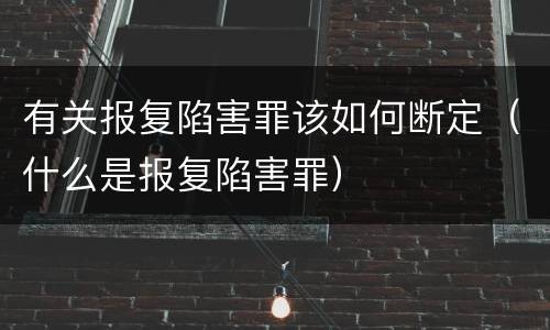 有关报复陷害罪该如何断定（什么是报复陷害罪）