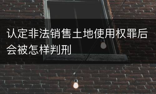 认定非法销售土地使用权罪后会被怎样判刑