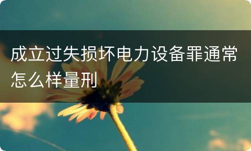 成立过失损坏电力设备罪通常怎么样量刑