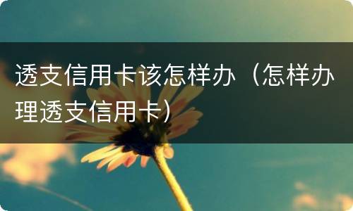 透支信用卡该怎样办（怎样办理透支信用卡）