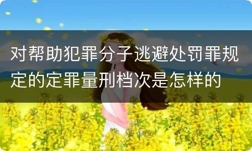 对帮助犯罪分子逃避处罚罪规定的定罪量刑档次是怎样的