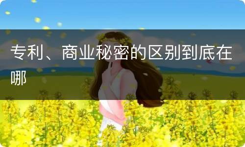 专利、商业秘密的区别到底在哪