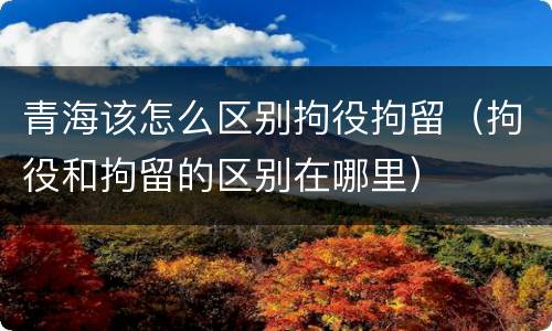 青海该怎么区别拘役拘留（拘役和拘留的区别在哪里）
