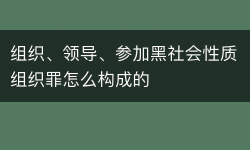 组织、领导、参加黑社会性质组织罪怎么构成的