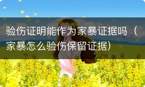 验伤证明能作为家暴证据吗（家暴怎么验伤保留证据）