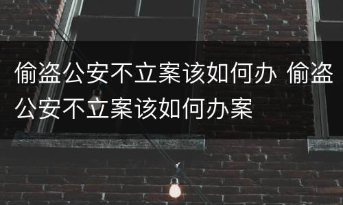 偷盗公安不立案该如何办 偷盗公安不立案该如何办案
