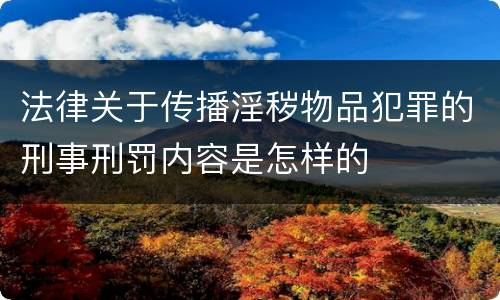 法律关于传播淫秽物品犯罪的刑事刑罚内容是怎样的