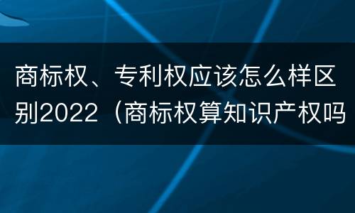 商标权、专利权应该怎么样区别2022（商标权算知识产权吗）