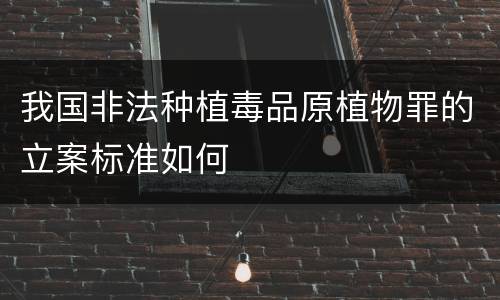 我国非法种植毒品原植物罪的立案标准如何