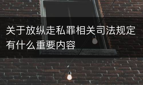 关于放纵走私罪相关司法规定有什么重要内容