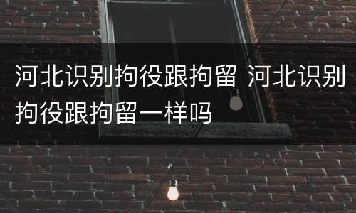 河北识别拘役跟拘留 河北识别拘役跟拘留一样吗