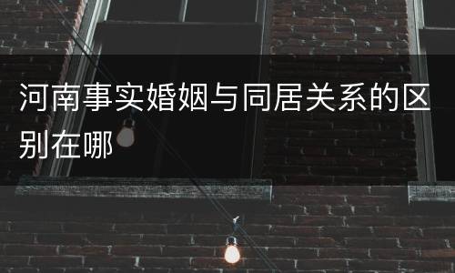 河南事实婚姻与同居关系的区别在哪