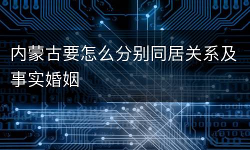 内蒙古要怎么分别同居关系及事实婚姻